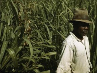 black man in white shirt with hat on in a field standing