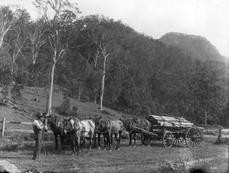 A settlers wagon circa 1900