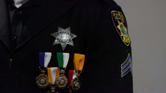 Decorated police badge