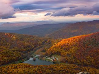 aerial photo of forest near body of water during daytime 