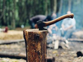 axe in tree stump