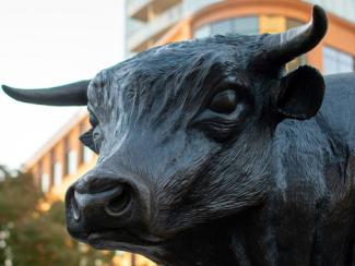 statue of bull 