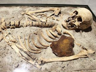 skeleton laying in dirt