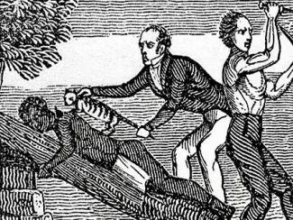 cat hauling excerpt from woodcut