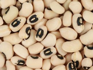 black eyed peas