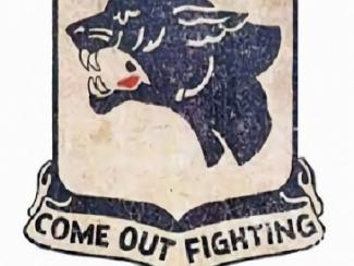 emblem that has a black panther that says come out fighting
