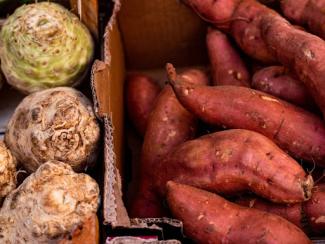 a box full of carrots, onions, celery and onions