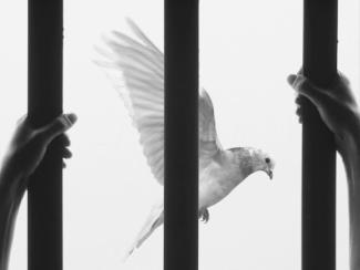 hands grasping bars with a dove behind the bars