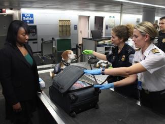 black woman standing aside as luggage is searched