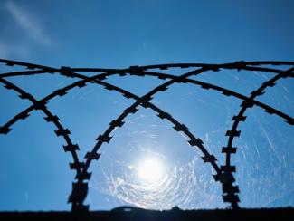 barb wire fence