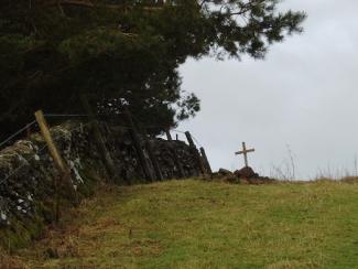 marked grave in a sheep pasture