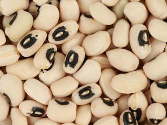 black eyed peas