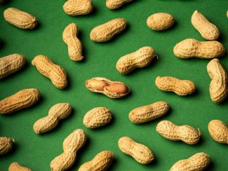peanuts on a green background