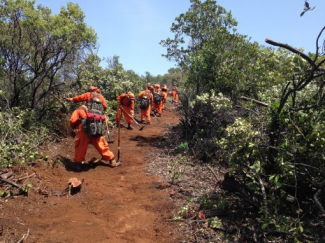 prisoners firefighting in California