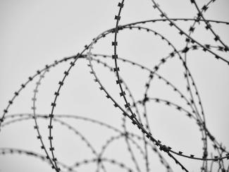 barbed wire