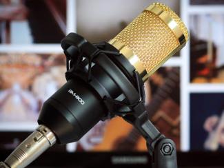 microphone on a stand