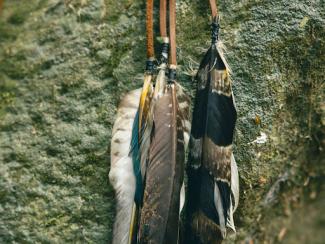 a couple of feathers hanging from a tree branch