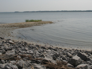 dafuskie island shore line 