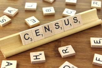 Wooden Tiles That Spell Census