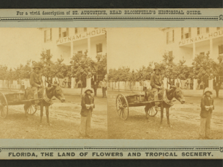 one person in a wagon and cart with another person in front