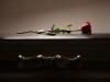 a single rose sitting on top of a table